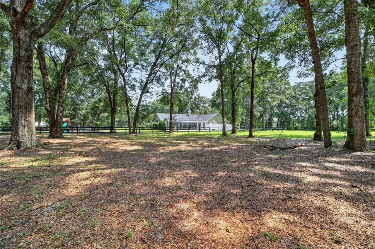 7040 SW 97th Place, Ocala, FL 34476 Photo