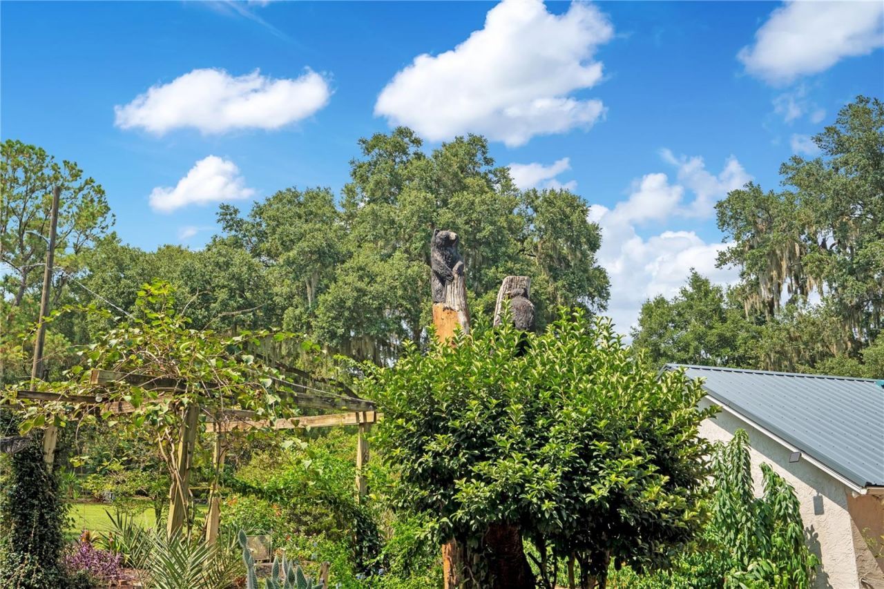 41832 Carrie Lane , Altoona, FL 32702 Photo
