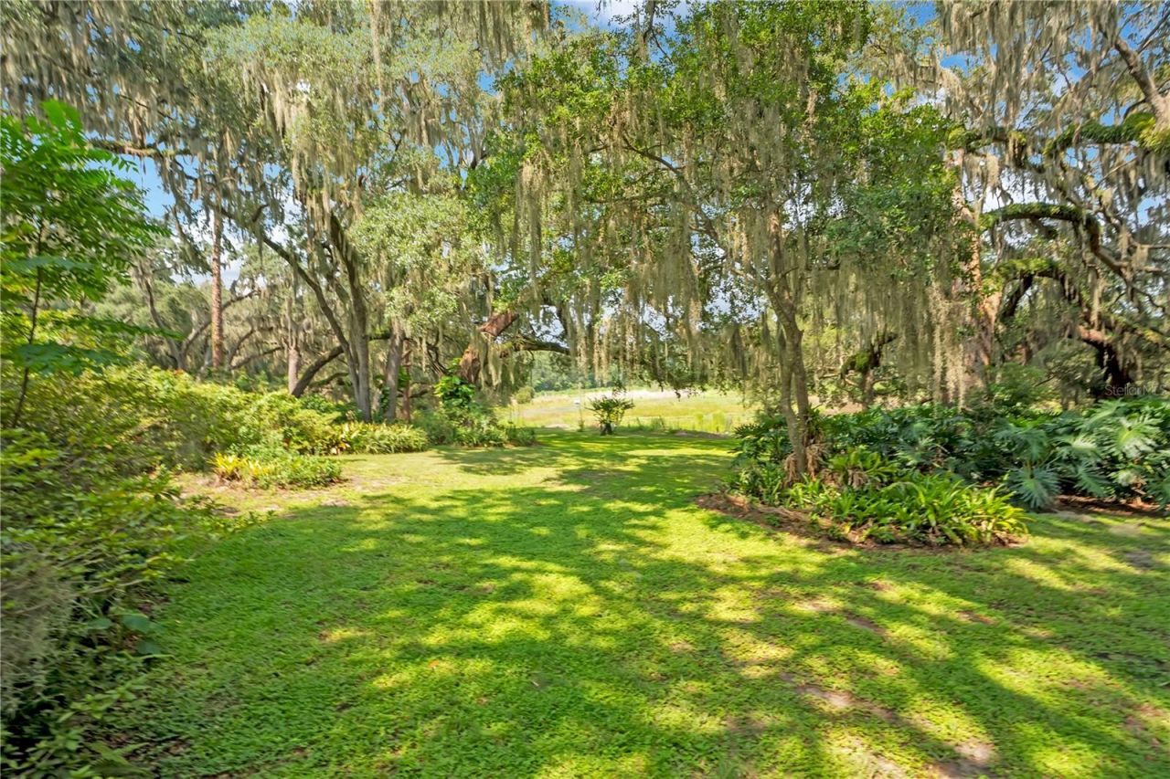 41832 Carrie Lane , Altoona, FL 32702 Photo