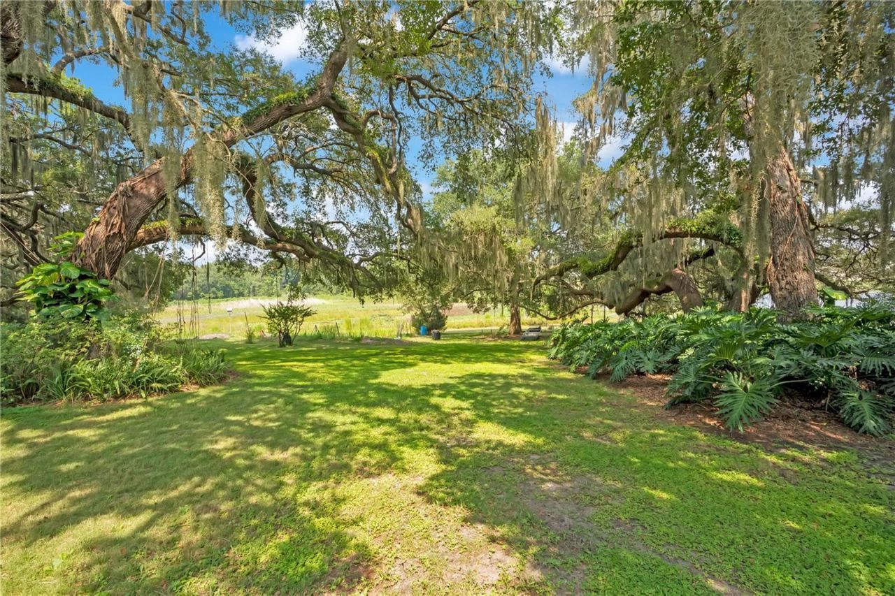 41832 Carrie Lane , Altoona, FL 32702 Photo