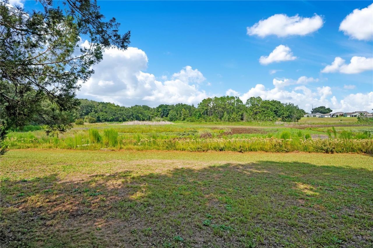 41832 Carrie Lane , Altoona, FL 32702 Photo