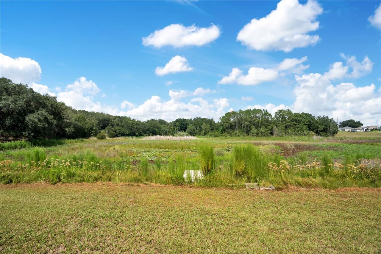 41832 Carrie Lane , Altoona, FL 32702 Photo