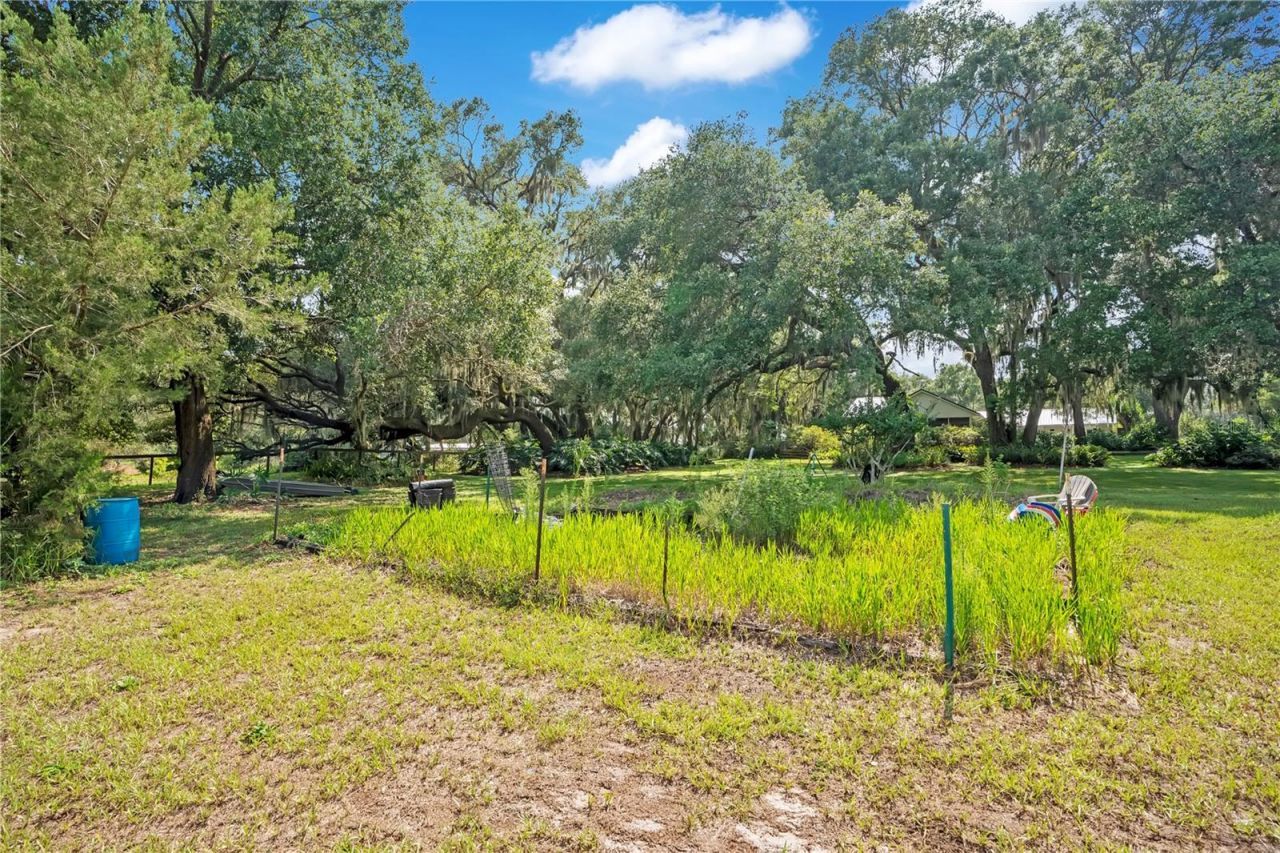 41832 Carrie Lane , Altoona, FL 32702 Photo