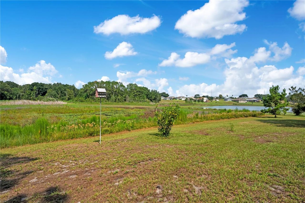 41832 Carrie Lane , Altoona, FL 32702 Photo