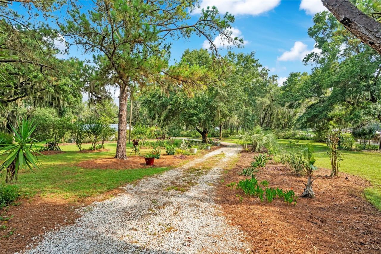 41832 Carrie Lane , Altoona, FL 32702 Photo