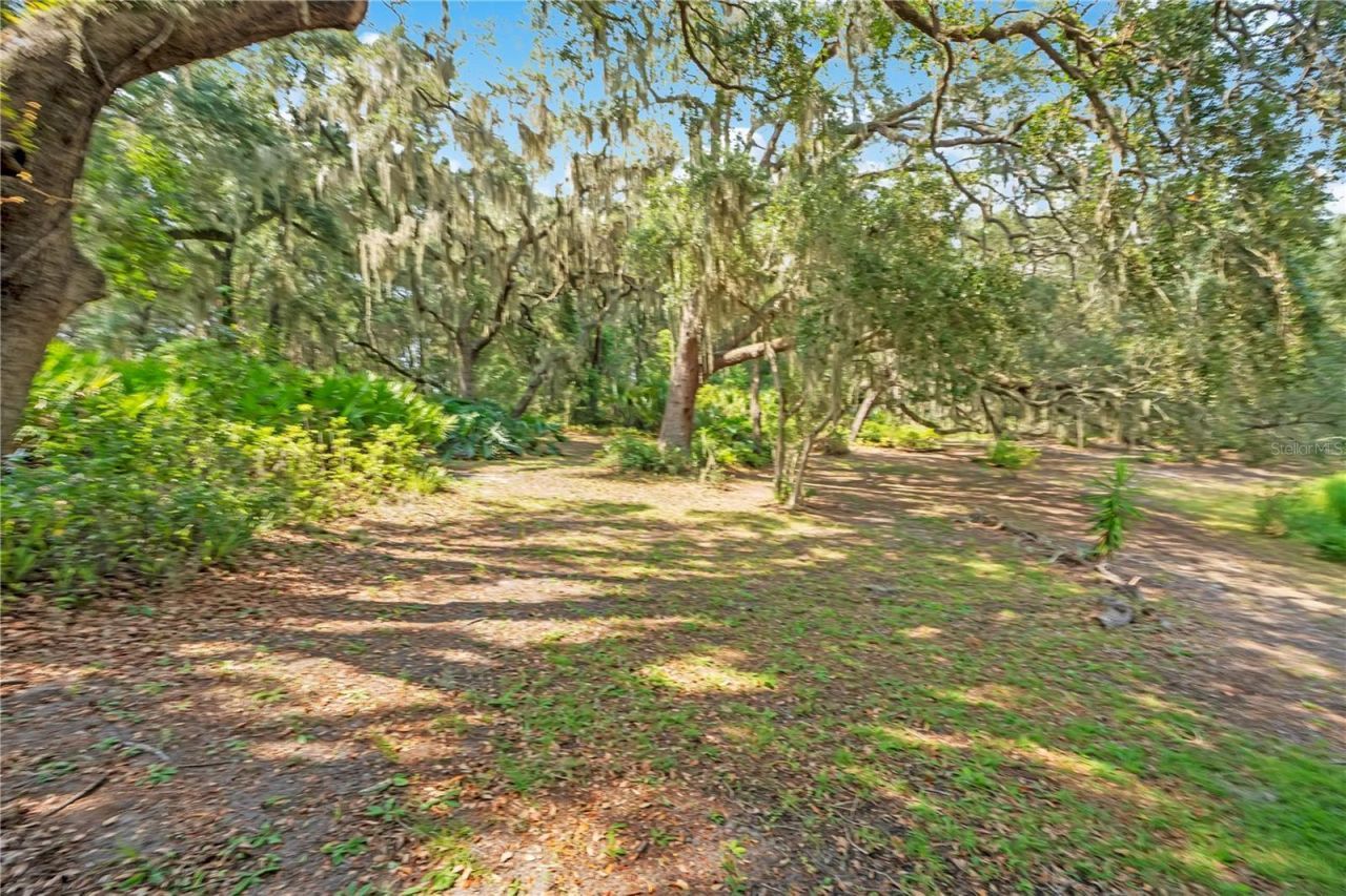 41832 Carrie Lane , Altoona, FL 32702 Photo