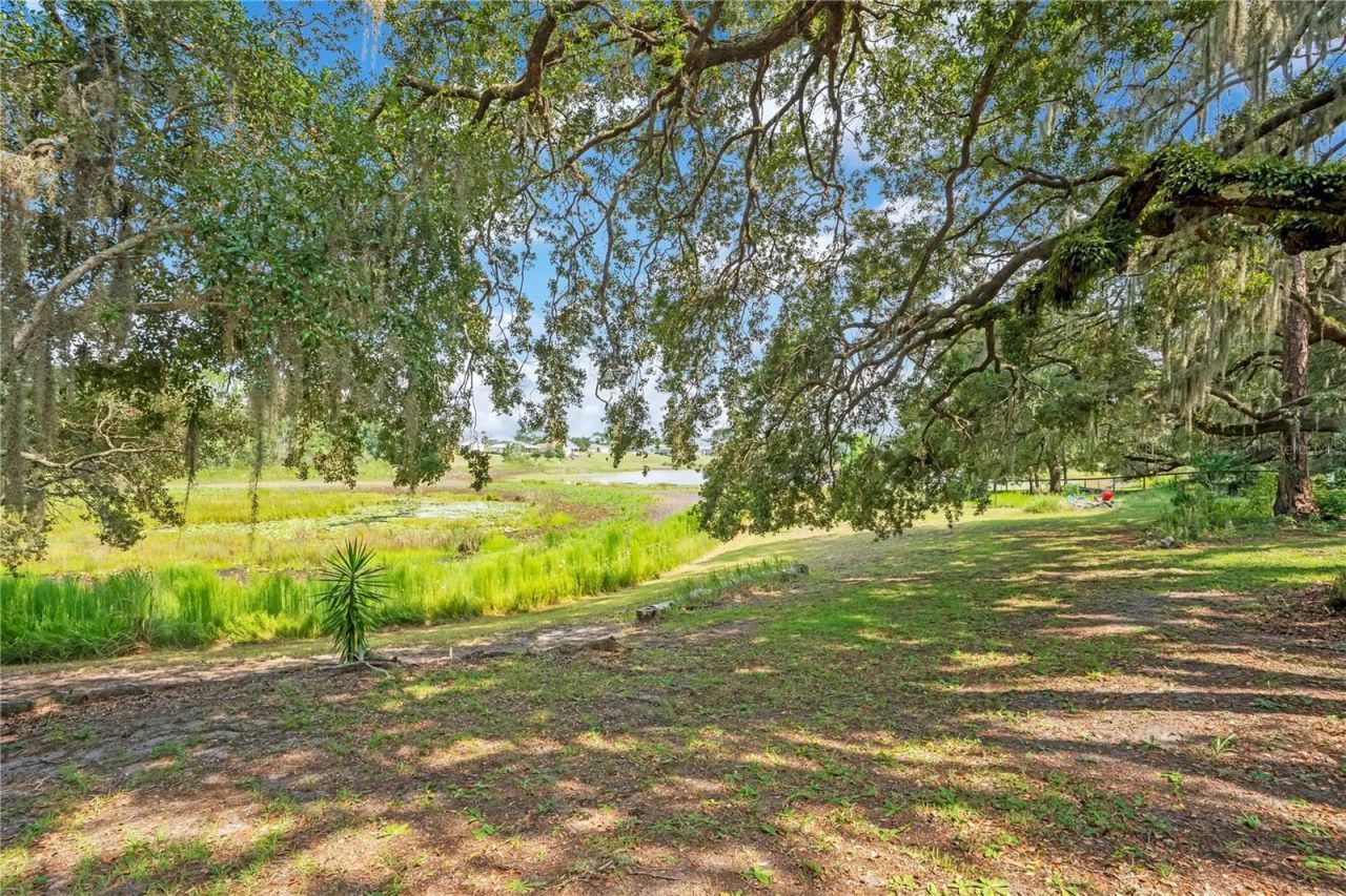 41832 Carrie Lane , Altoona, FL 32702 Photo
