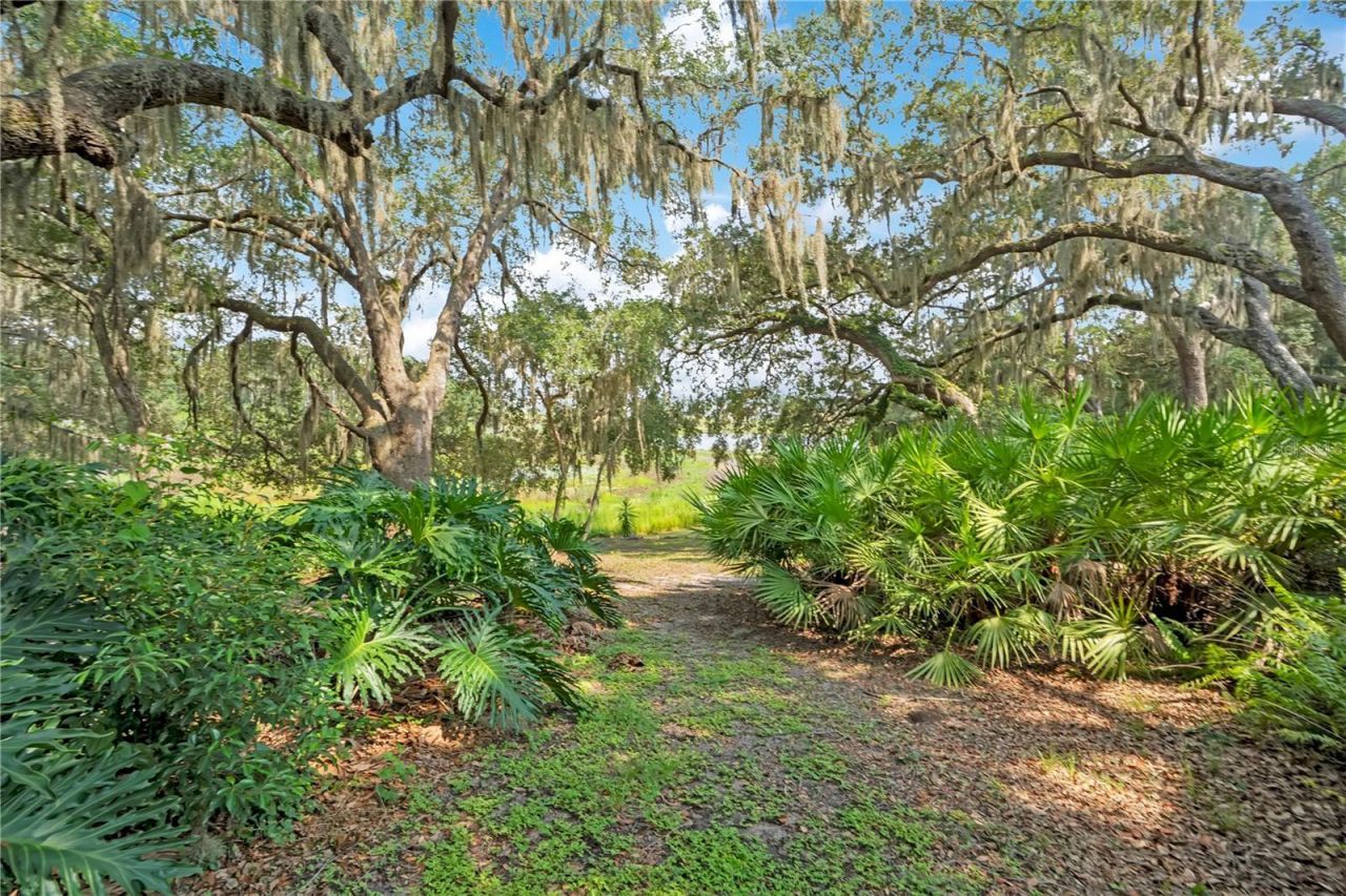41832 Carrie Lane , Altoona, FL 32702 Photo