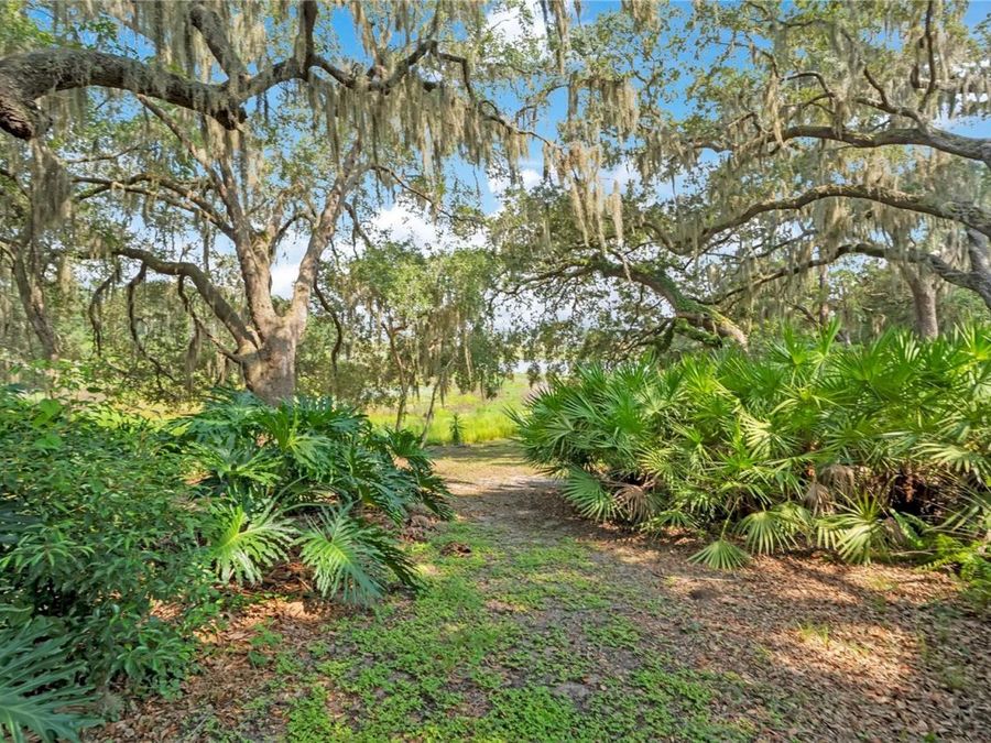 Property Image 53