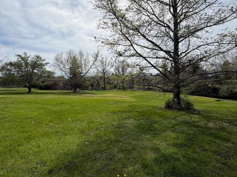 N Miami Road, Sycamore Township, OH 45243 Photo 5