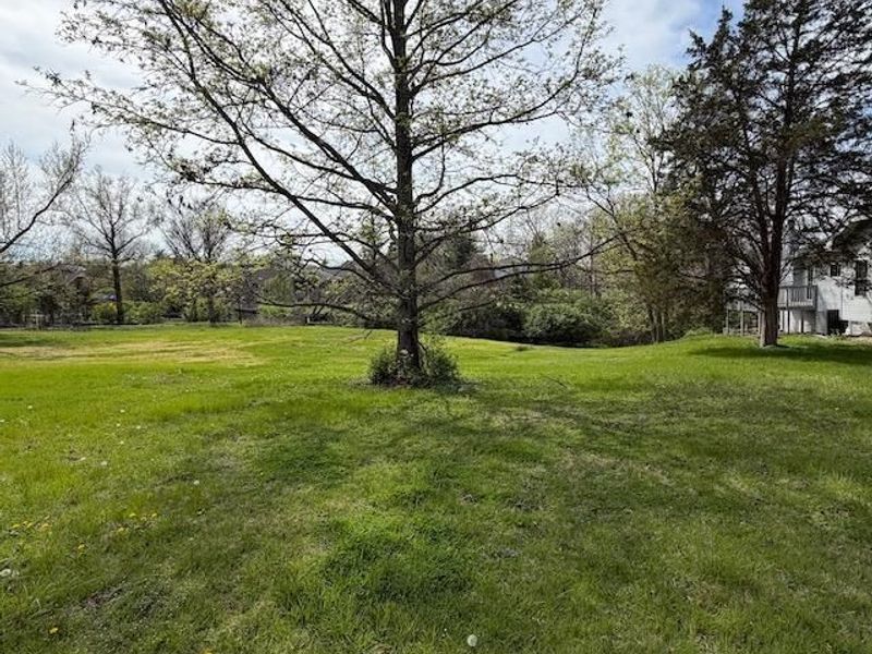 N Miami Road, Sycamore Township, OH 45243 Photo 6
