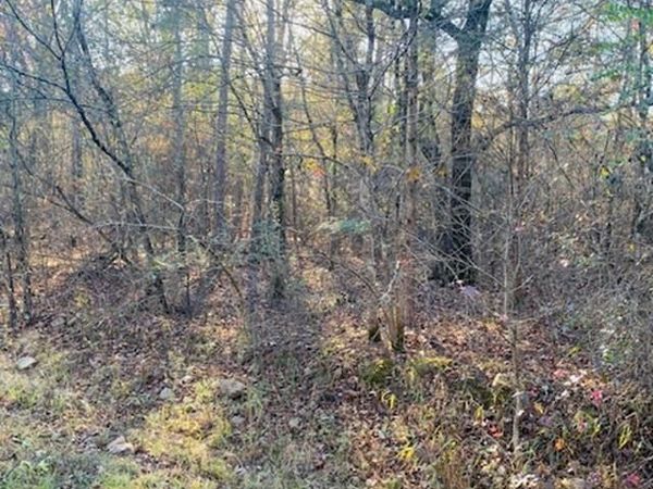 Unk Black Gum Lane , Mena, AR 71953