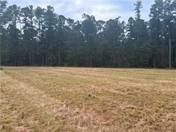 TBD HWY 1241 Highway, Colfax, LA 71417