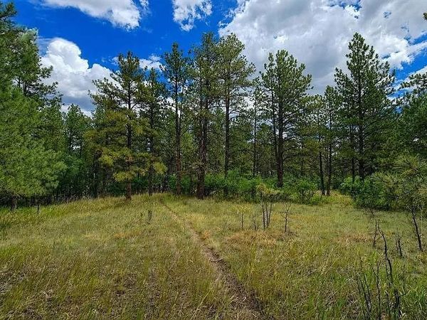 00 Westwood Road , Colorado Springs, CO 80919