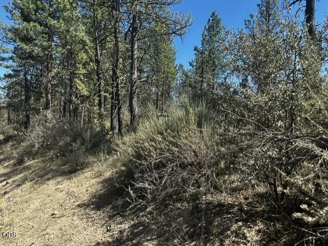 0 Jaguar Lane, Lot #Lot 3, Bonanza, OR 97623 Main Photo