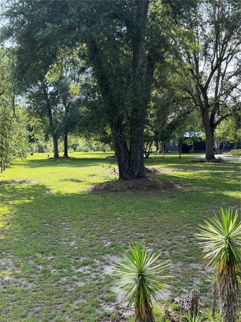 5649 209th Road, Live Oak, FL 32060 Photo