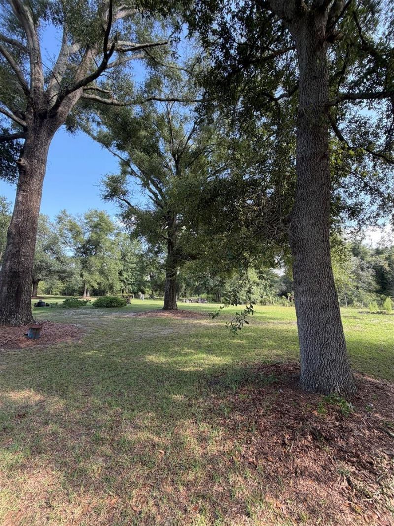 5649 209th Road, Live Oak, FL 32060 Photo