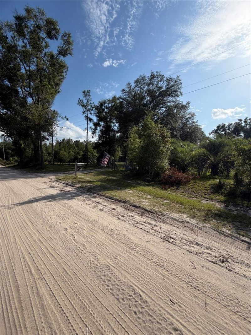 5649 209th Road, Live Oak, FL 32060 Photo