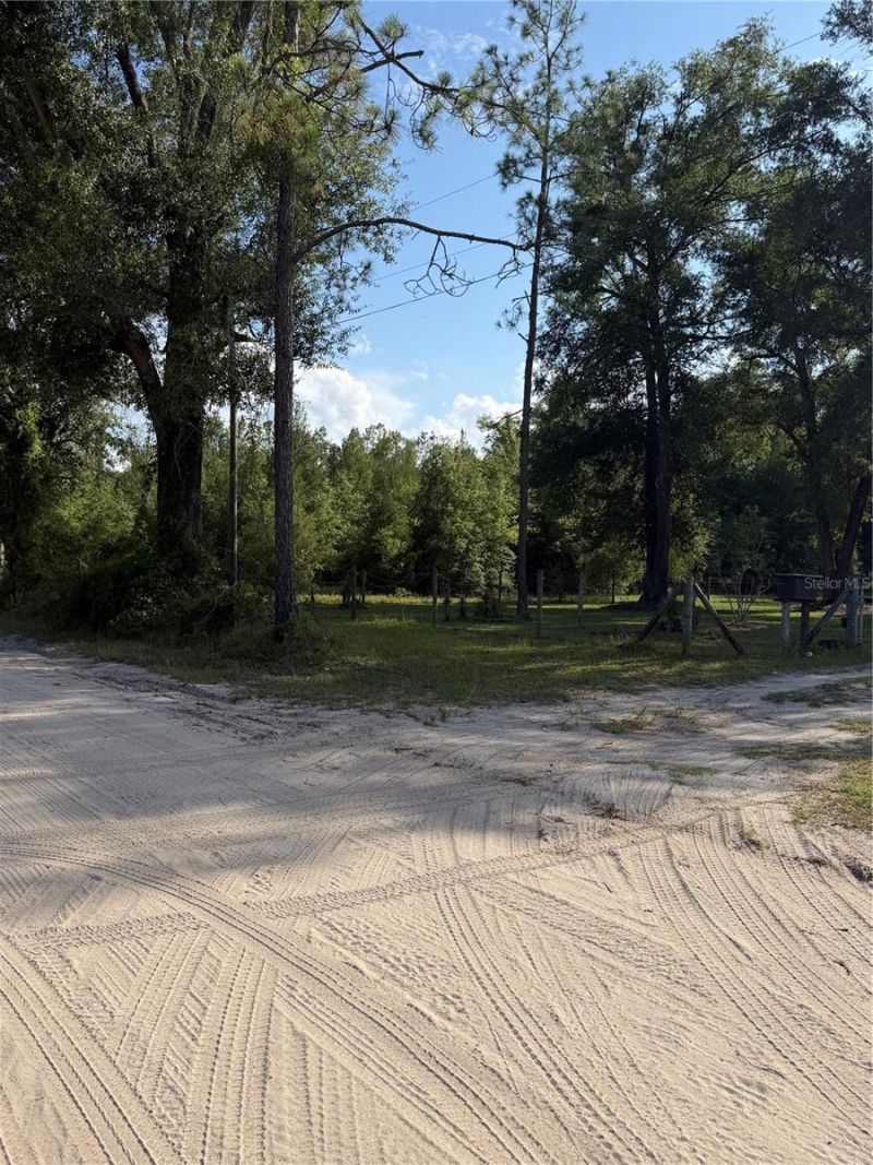 5649 209th Road, Live Oak, FL 32060 Photo