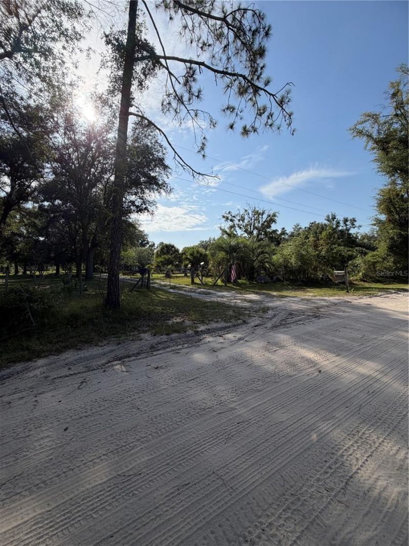 5649 209th Road, Live Oak, FL 32060 Photo