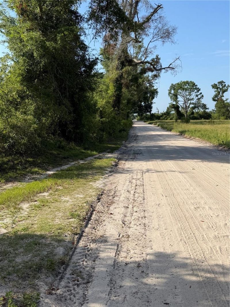 5649 209th Road, Live Oak, FL 32060 Photo