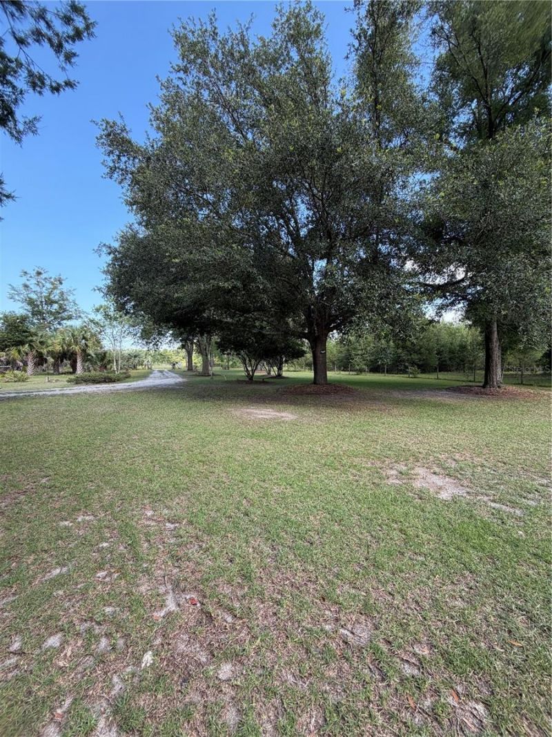 5649 209th Road, Live Oak, FL 32060 Photo