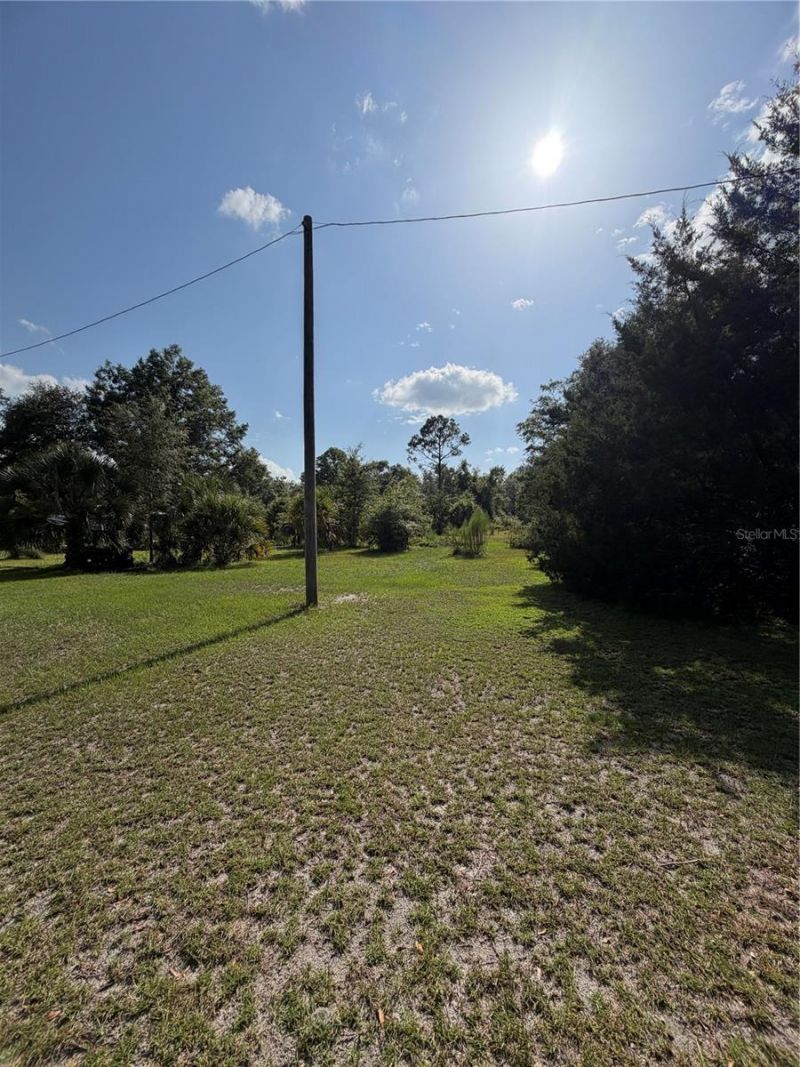 5649 209th Road, Live Oak, FL 32060 Photo