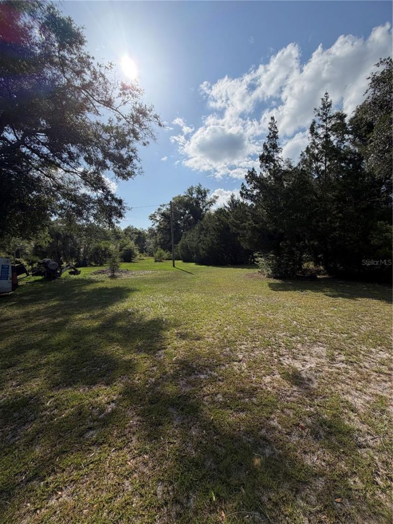 5649 209th Road, Live Oak, FL 32060 Photo