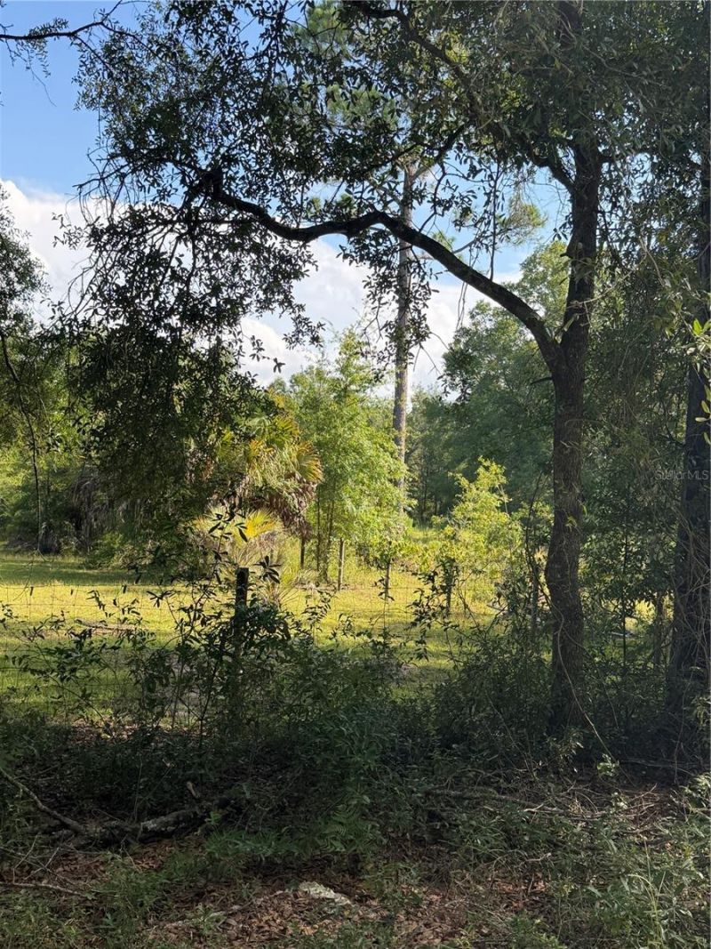 5649 209th Road, Live Oak, FL 32060 Photo