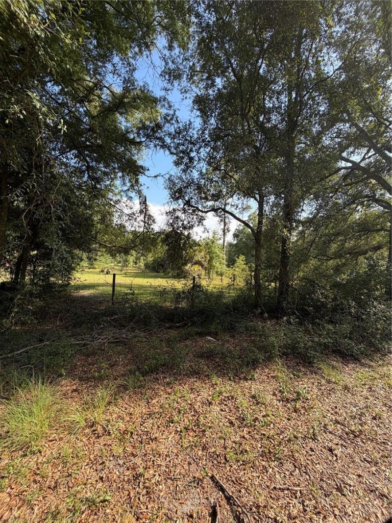 5649 209th Road, Live Oak, FL 32060 Photo