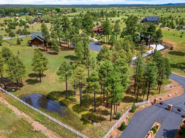 2254 BROWN BEAR Circle, Unit 1, Overgaard, AZ 85933