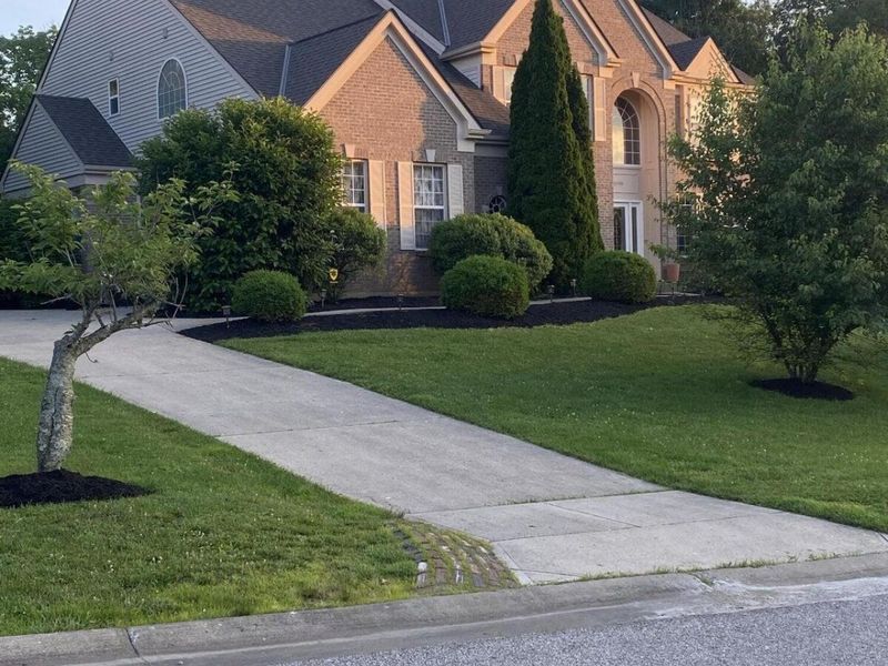 1049 Swale Court, Union, KY 41091 Photo 2