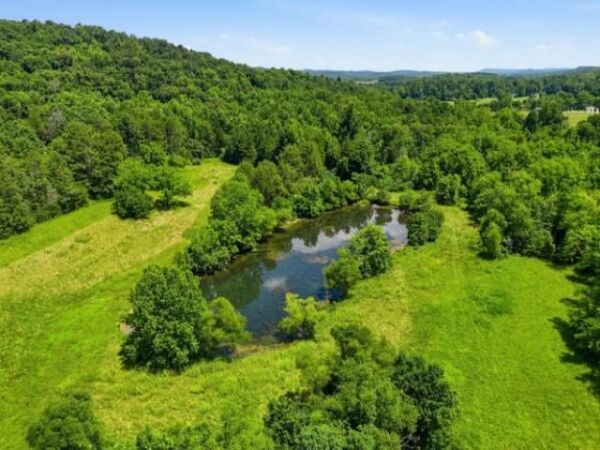 813 Ward Road , Decatur, TN 37322