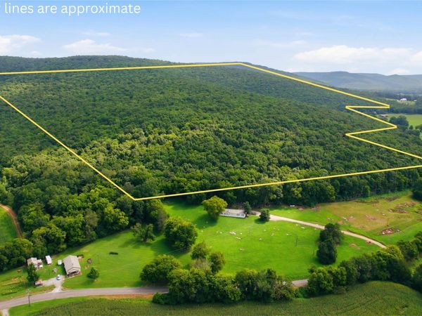 264 Acres Alabama Highway 65, Paint Rock, AL 35764