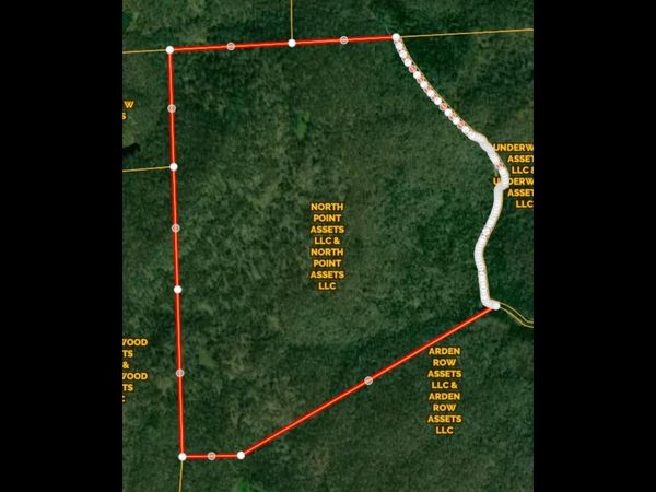 296 Acres County Road 106, Paint Rock, AL 35764