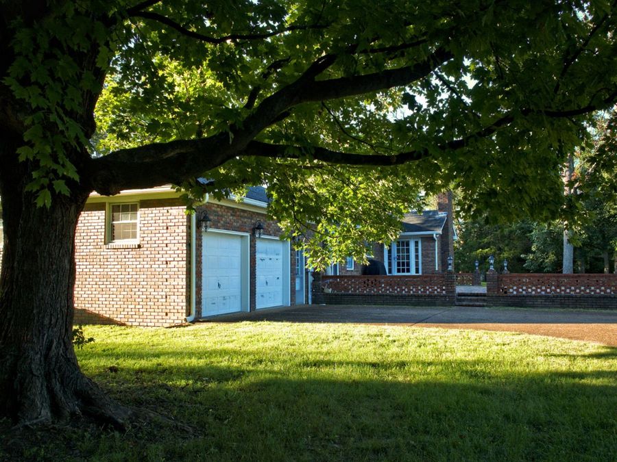 Property Image 82