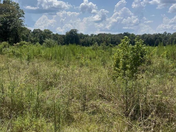 TBD Jack Loftin, Oak Vale, MS 39656