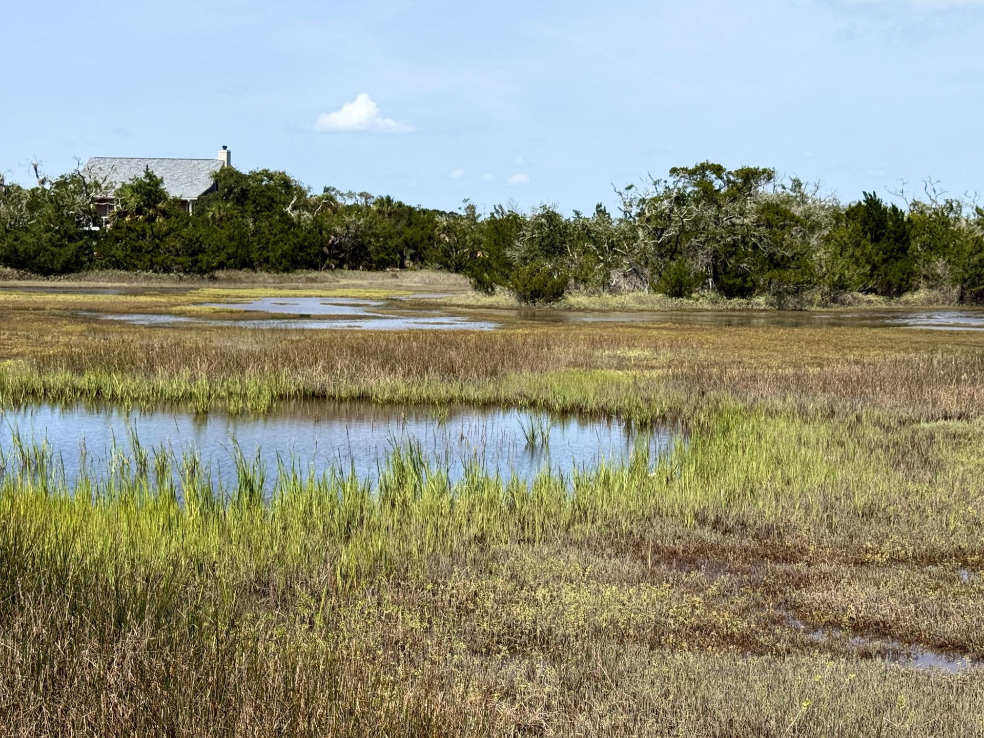 831 Hammocks Way Photo 45