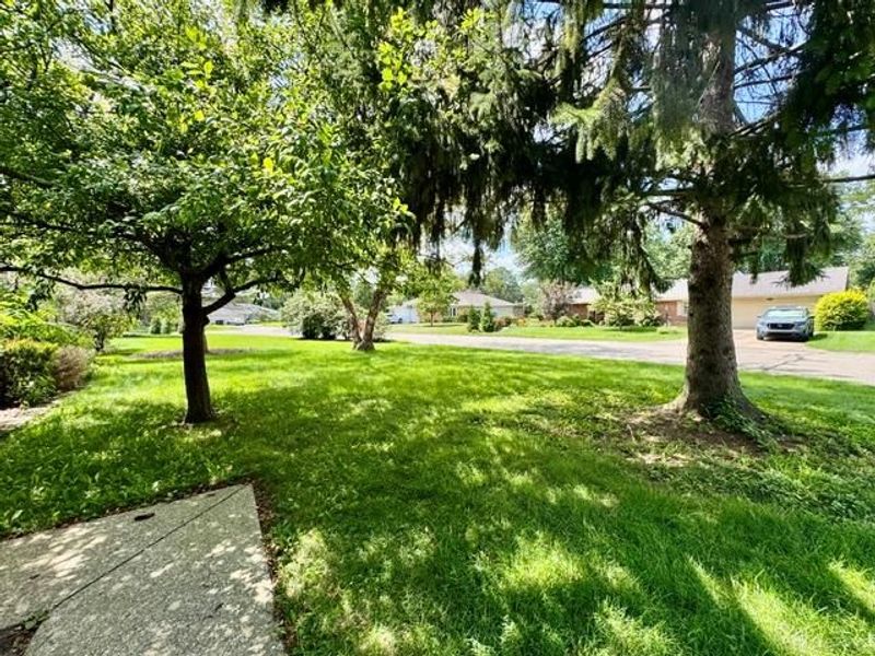 231 Edgebrook Drive, Washington Township, OH 45459 Photo 84