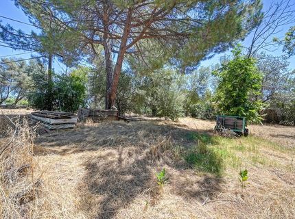 814 Comstock Dr, Folsom, CA 95630 Photo