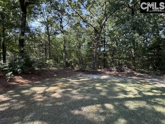 409 Travis Avenue  Photo 37