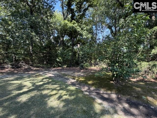 409 Travis Avenue  Photo 38