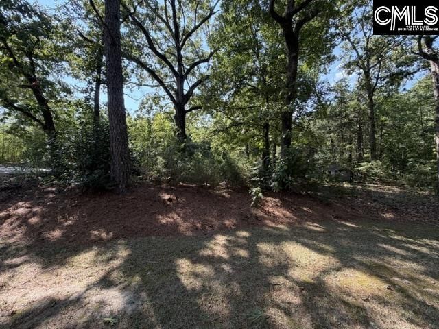 409 Travis Avenue  Photo 39