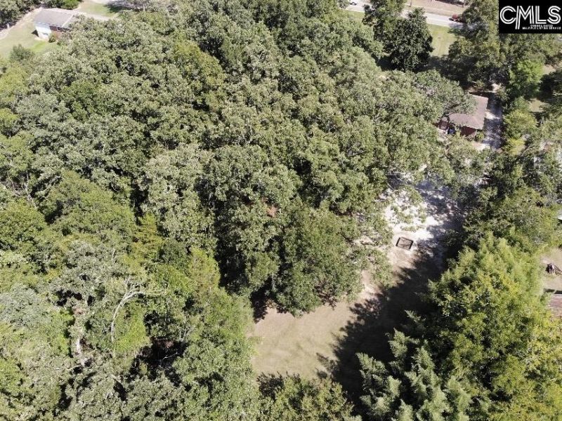 409 Travis Avenue  Photo 43