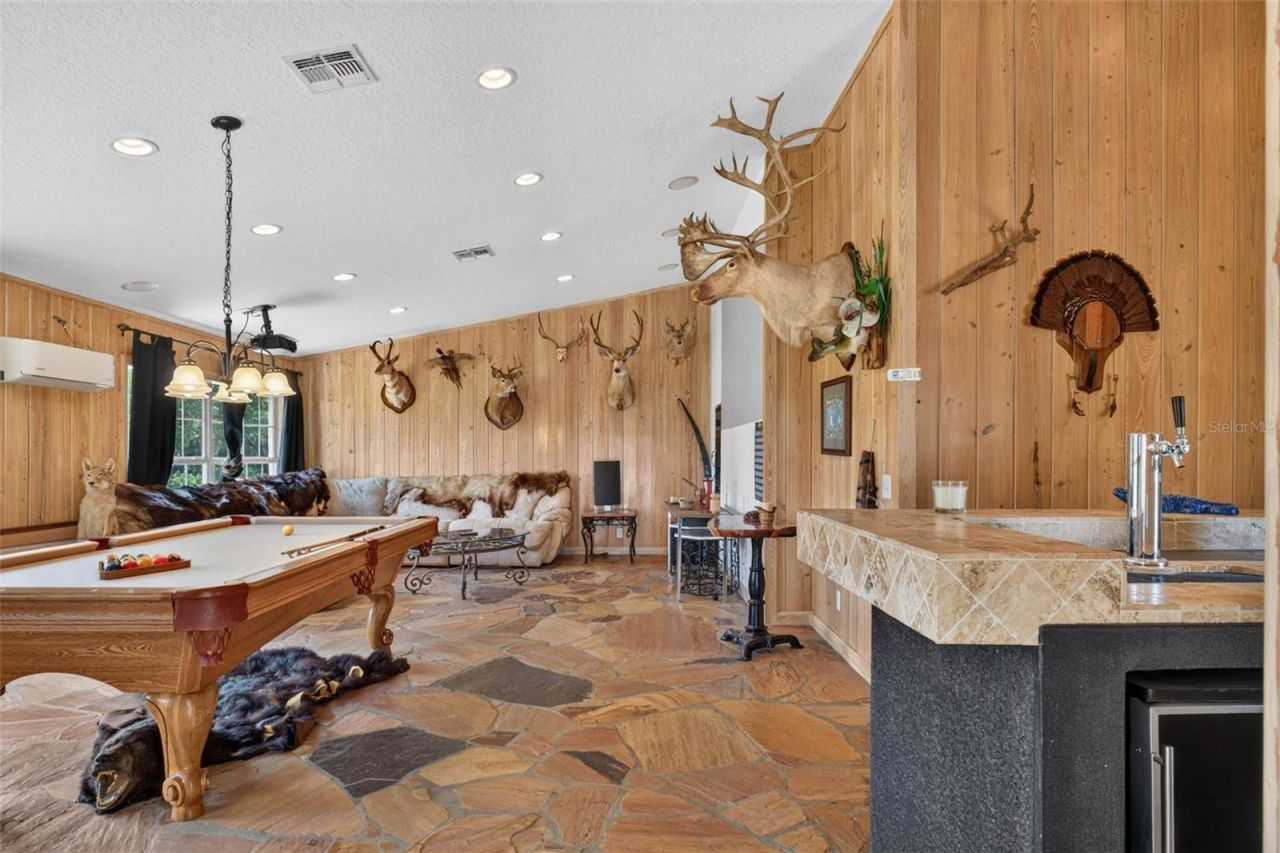 13342 W Lake Yale Road, Umatilla, FL 32784 Photo