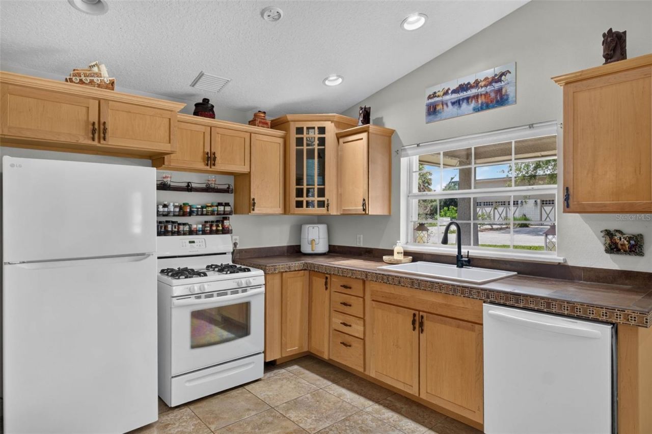 13342 W Lake Yale Road, Umatilla, FL 32784 Photo