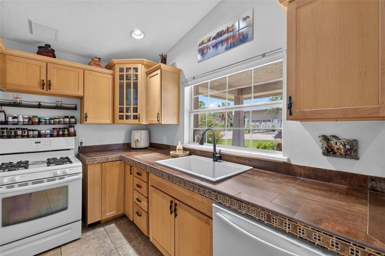 13342 W Lake Yale Road, Umatilla, FL 32784 Photo