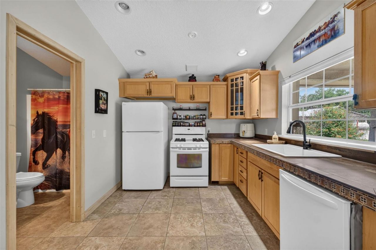 13342 W Lake Yale Road, Umatilla, FL 32784 Photo
