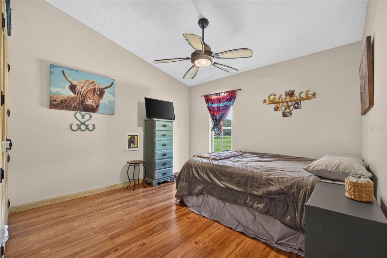 13342 W Lake Yale Road, Umatilla, FL 32784 Photo