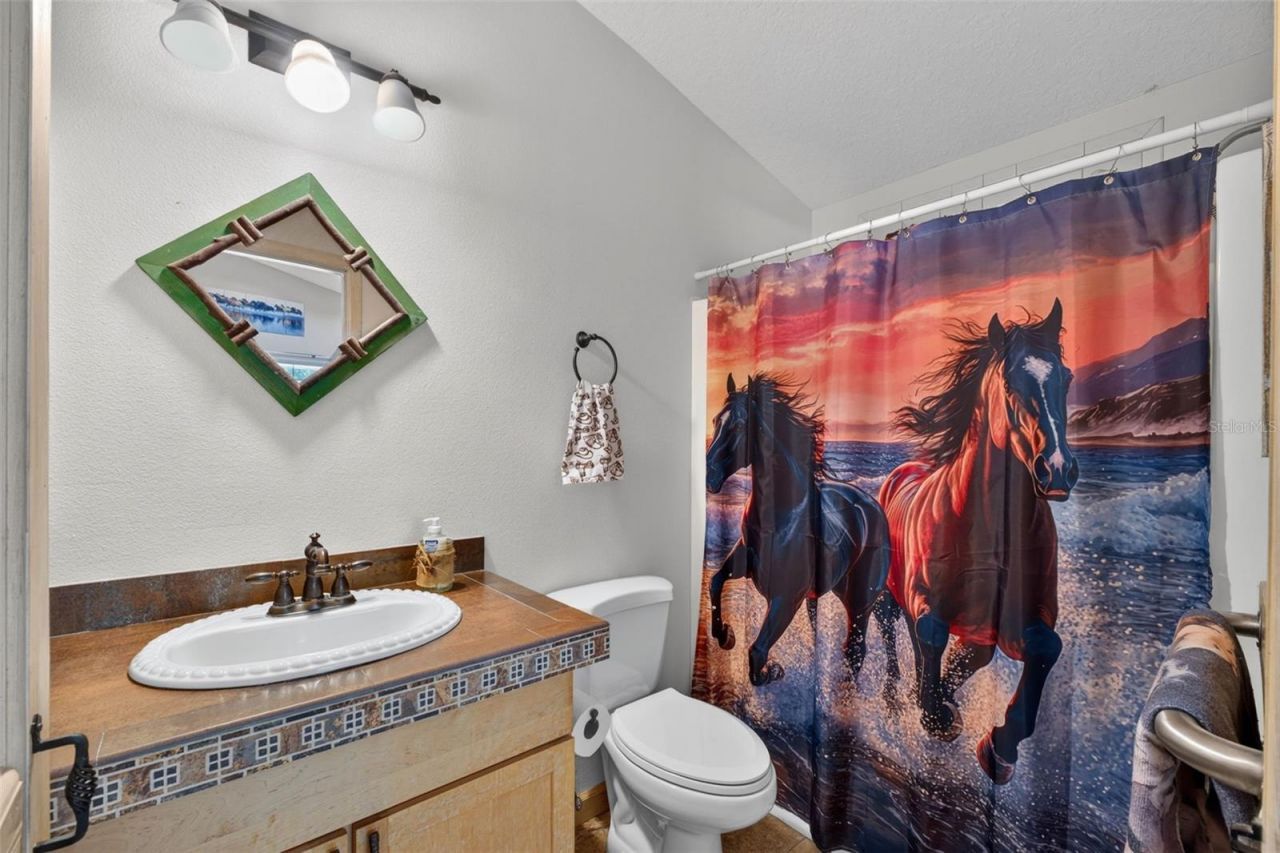 13342 W Lake Yale Road, Umatilla, FL 32784 Photo